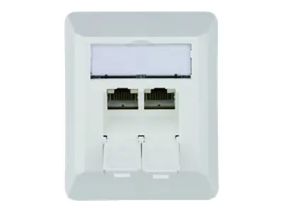 Telegärtner AMJ45 8/8 K AP Cat.6A - Netzwerk-Anschlussdose - mit Beschriftungsfenster - RJ 11, RJ 12, RJ 45 - mit Verschluss - abgewinkelt - 2 Netzwerksteckdosen - Alpine White