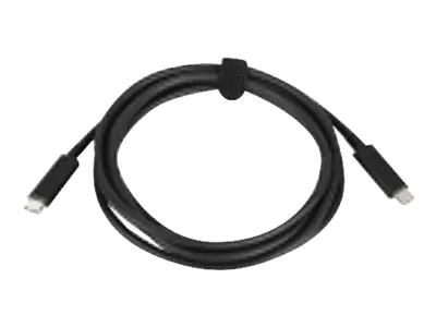 Lenovo - USB-Kabel - 24 pin USB-C (M) zu 24 pin USB-C (M) - 20 V - 3 A - 2 m
