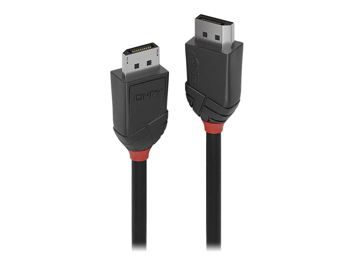 Lindy - DisplayPort-Kabel - DisplayPort (M) zu DisplayPort (M) - DisplayPort 1.2 - 1.5 m - 4K Unterstützung - Schwarz