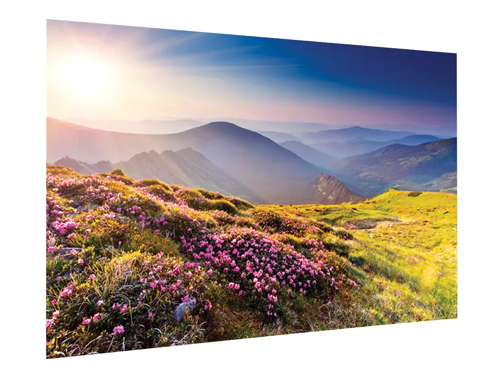 Projecta FullVision HDTV Format - Leinwand - geeignet für Wandmontage - 689 cm (271.26")