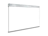 Projecta GiantKing electrol - Leinwand - motorisiert 10130046
