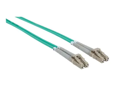 Intellinet Patch-Kabel Glasfaser 750097 10.00 m