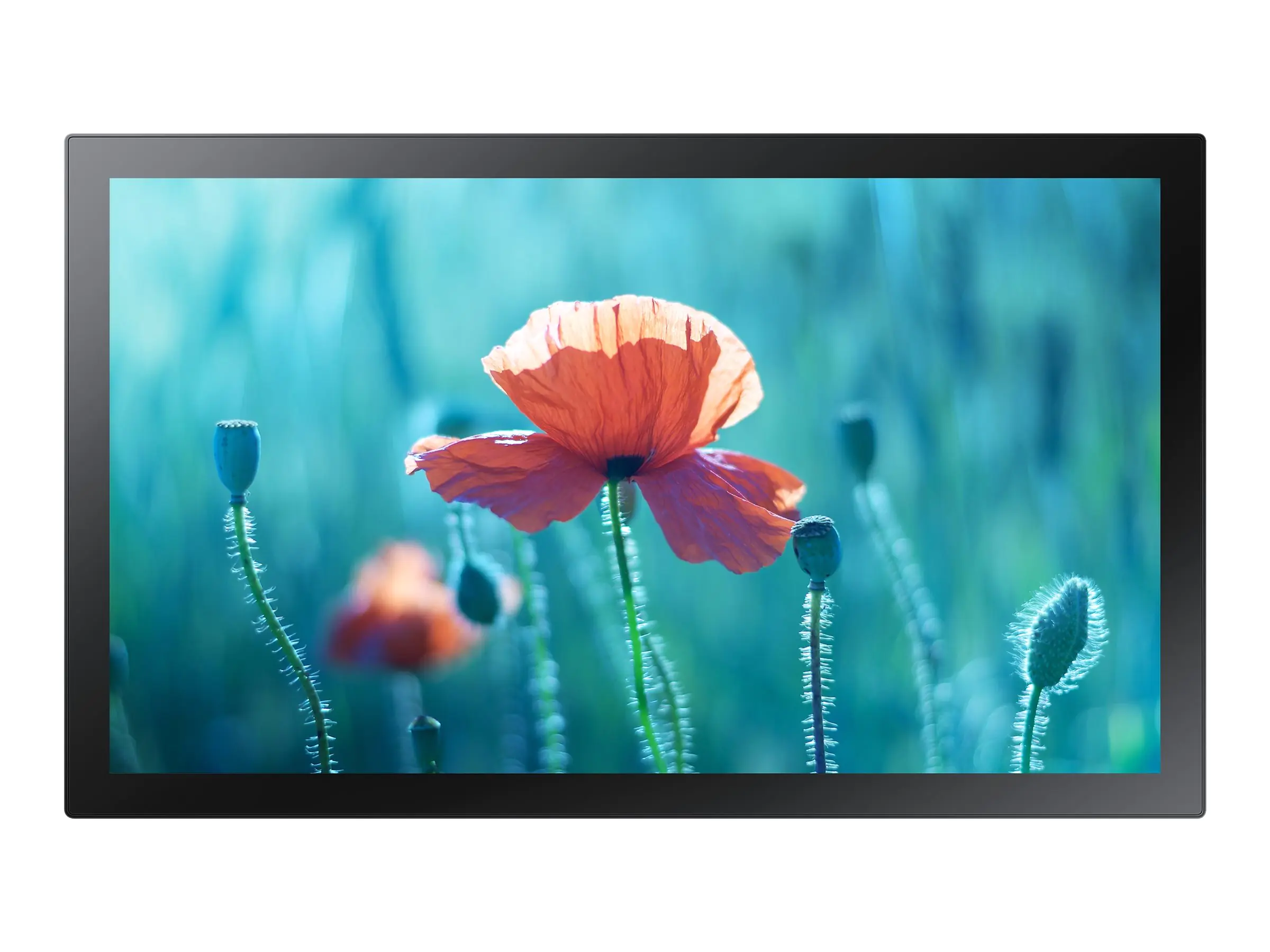 Samsung QB13R-TM - 33 cm (13") Diagonalklasse (33.7 cm (13.27") sichtbar) - QBR-TM Series LED display unit - interaktive Digital Signage - mit Touchscreen (Multi-Touch) - Tizen OS - 1080p 1920 x 1080