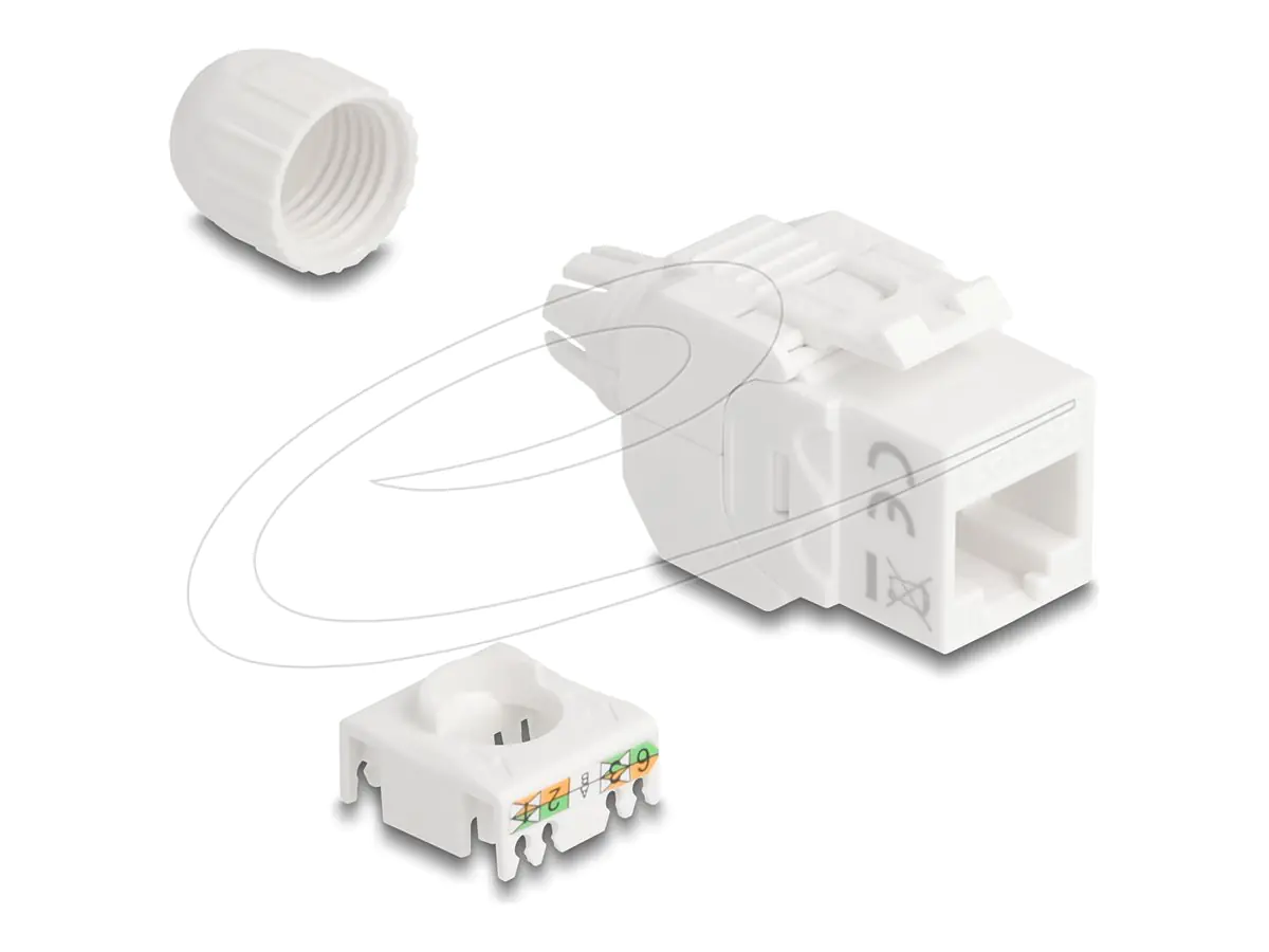 Delock Netzwerkanschluss - RJ-45 (W) zu LSA