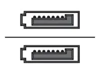 Sharkoon - SATA-Kabel - Serial ATA 150/300/600 - SATA (M) zu SATA (M) - 75 cm - 90° Stecker - Schwarz