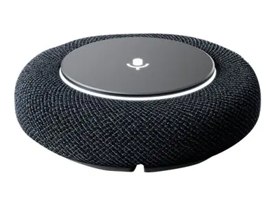 Lenovo Google Meet Series One mic pod - Videokonferenzkomponente - holzkohlefarben