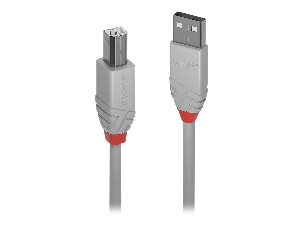 Lindy Anthra Line - USB-Kabel - USB (M) zu USB Typ B (M) - USB 2.0 - 50 cm - rund - Grau