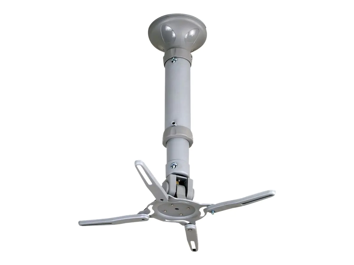 VALUE - Befestigungskit (Deckenmontage) - neig- und schwenkbar - für Projektor - Grau - Deckenmontage