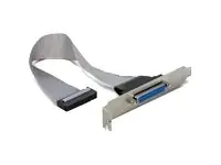 Delock - Parallelport - DB-25 (W) zu IDC 26-polig (W) - 22 cm