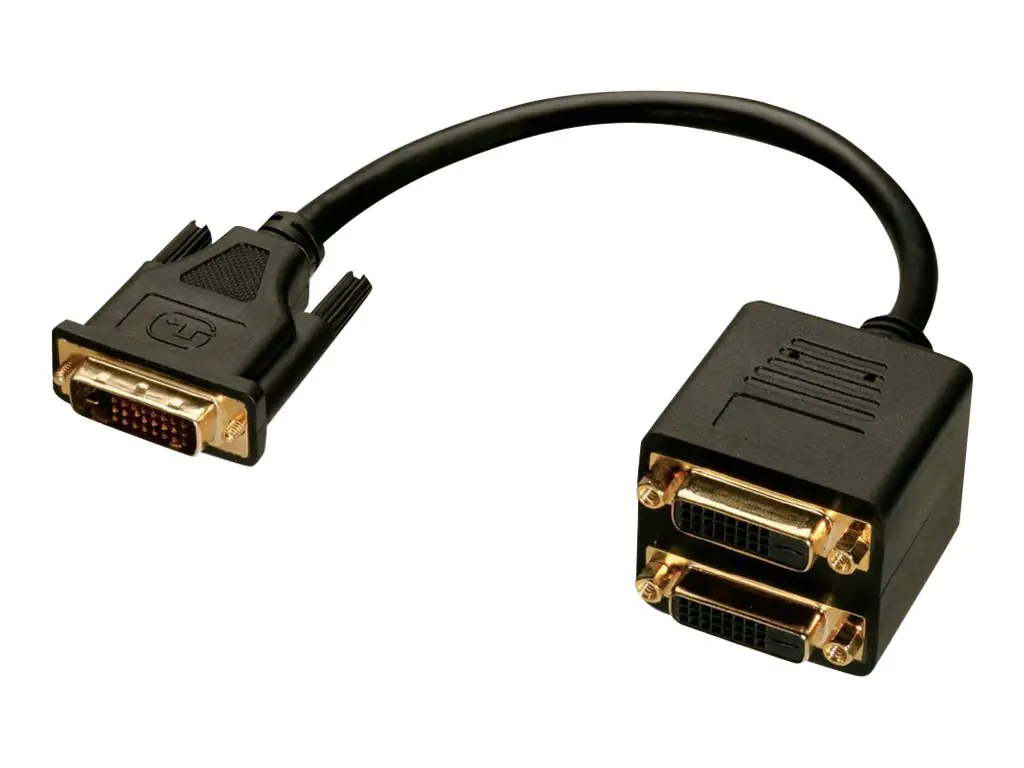 Lindy DVI Splitter Cable - DVI-Splitter - DVI-D (M) zu DVI-D (W) - 18 cm