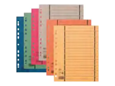 ELBA Trennelement - 10 Teile - vorgedruckt: 1-10 - für A4 (210 x 297 mm) 400004665