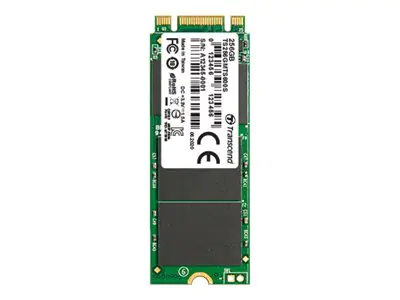 Transcend MTS600S - SSD - 256 GB - intern - M.2 2260 - SATA 6Gb/s