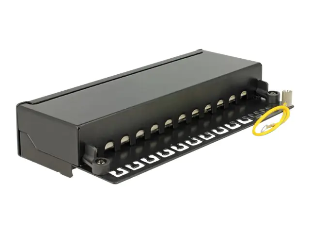 Delock Patch Panel - CAT 6 - RJ-45 X 12 - Jet