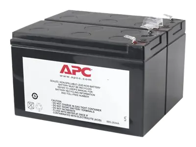 APC Replacement Battery Cartridge #113 - USV-Akku - 1 x Batterie - Bleisäure - Schwarz - für Back-UPS RS 1100