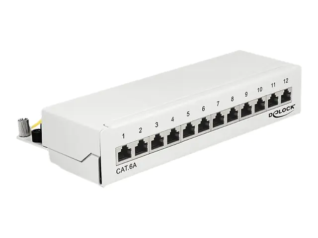 Delock Patch Panel - geeignet für Wandmontage