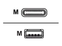 PARAT USB-Kabel - USB (M) zu USB-C (M) - 1