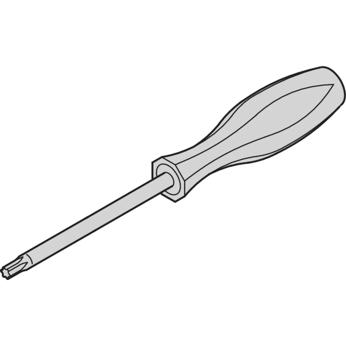 Schroff TORX SCREWDRIVER M3 (T10X80)