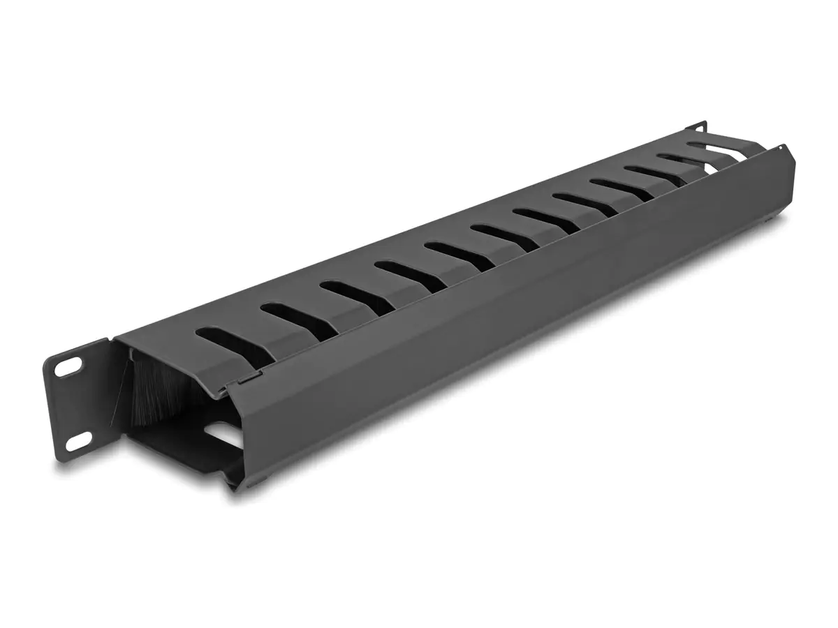 Delock Verlegetafel für Rack-Kabelmanagement - mit Bürste, 2 Öffnungen - Schwarz - 1U - 48.3 cm (19") 67069