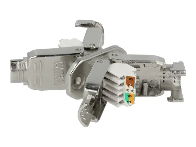 Delock - Netzwerkkoppler - LSA zu LSA - STP - CAT 6a