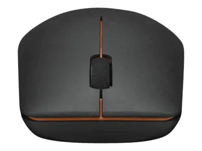 Lenovo 400 - Maus - rechts- und linkshändig - optisch - 3 Tasten - kabellos - 2.4 GHz - kabellos