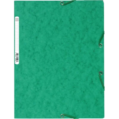 Exacompta Eckspanner Nature Future 55503E DIN A4 400g Karton grün